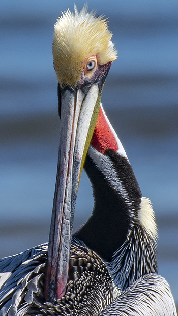Uber Exif Photo