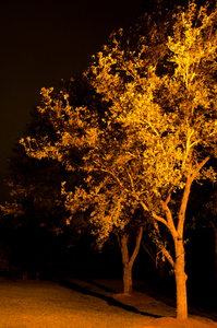 Uber Exif Photo