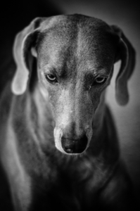Uber Exif Photo