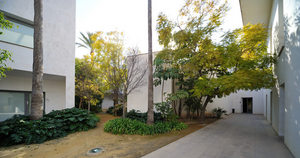 Uber Exif Photo