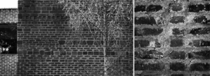 Uber Exif Photo