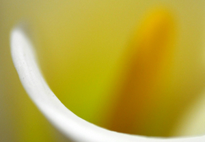 Uber Exif Photo