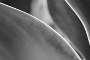 Uber Exif Photo