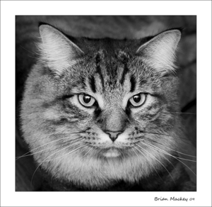 Uber Exif Photo