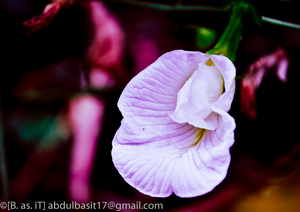 Uber Exif Photo